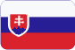 Comptabilité en République tchèque Slovensky